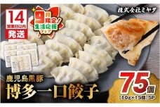 【 期間限定 生活応援 】【14営業日以内に発送】 鹿児島黒豚博多一口餃子 75個　K025-009_01_cp