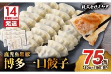 【14営業日以内に発送】 鹿児島黒豚博多一口餃子 75個　K025-009_01