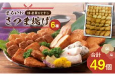 味・品質ひとすじ まるいわさつま揚げ6種（49個入）　K326-001_03