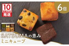 【10営業日以内に発送】SATSUMAの恵み（ミニキューブ） 6個入り　K325-001