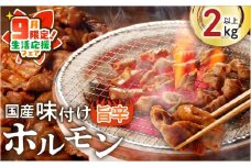 【 期間限定 生活応援 】国産豚味付けホルモン（旨辛）　K073-011_cp