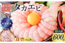 鹿児島産 タカエビ600g 6人前　K100-011