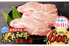 鹿児島県産 黒毛和牛ステーキ 600g　K151-010_01