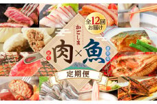【肉×魚】12回定期便　K000-T2503