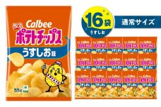 カルビー ポテトチップス【うすしお】16袋　K194-002_03