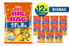 カルビー ポテトチップス BIGBAG【うすしお】12袋　K194-002_04