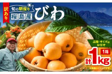 旬の朝採り！ 鹿児島 桜島産びわ 1箱（訳あり品）　K343-002