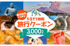 鹿児島市に泊まるふるさと納税旅行クーポン【3,000円分】　K349-001_03