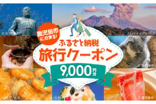 鹿児島市に泊まるふるさと納税旅行クーポン【9,000円分】　K349-001_09