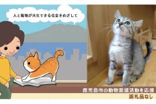 【鹿児島市の動物愛護活動を応援】（返礼品なし）1,000,000円　K000-CFA1000
