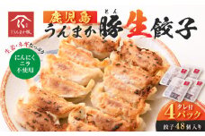 鹿児島うんまか豚生餃子4パック（餃子48個入り・タレ付）　K005-003_01