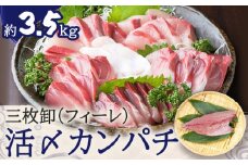 鹿児島県産カンパチ 約3.5kg 三枚卸（フィーレ） 活〆※真空包装　K294-003_02