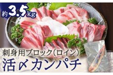 鹿児島県産カンパチ 約3.5kg 刺身用ブロック（ロイン） 活〆※真空包装　K294-003_03