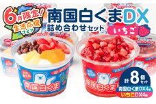 【 期間限定 生活応援 】セイカ食品 南国白くまDX・南国白くまDX（いちご味）詰め合わせセット　K051-002_01