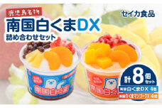 【2025年9月お届け】セイカ食品 南国白くまDX詰め合わせセット　K051-002_09