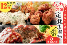 【全12回定期便】マジカル冷凍定食三種セット　K258-T04_c