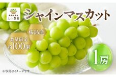 【2025年先行予約】【桜島産】シャインマスカット 1房　K260-001_01