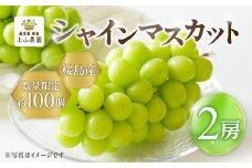 【2025年先行予約】【桜島産】シャインマスカット 2房　K260-001_02
