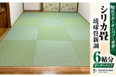現代の名工カンパニー特製！シリカ畳琉球畳新調（畳半帖サイズ12枚）　K348-002