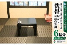 現代の名工カンパニー特製！ペット・介護向けペット・介護用滑らず汚れず傷のつかない洗える畳『洗畳』縁無琉球畳新調6帖サイズ（畳半帖サイズ12枚）　K348-010