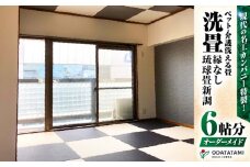 現代の名工カンパニー特製！ペット・介護洗える畳『洗畳』縁無琉球畳新調6帖サイズ（畳半帖サイズ12枚）　K348-014