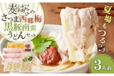 麦のはなのさつま西郷梅黒豚南蛮うどんセット　K071-006