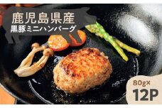 鹿児島県産黒豚ミニハンバーグ 12パック　K356-004