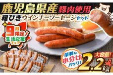 【 期間限定 生活応援 】訳あり粗びきウインナーソーセージセット【2025年12月お届け】　K161-001_12_cp