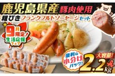 【 期間限定 生活応援 】訳あり粗びきフランクフルトソーセージセット【2026年2月お届け】　K161-002_02_cp