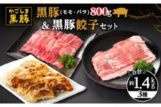 617-1 鹿児島黒豚800g（モモ・バラ）＋黒豚餃子 黒豚 豚肉 しゃぶしゃぶ 餃子 バラ モモ スライス 鹿児島 鹿屋 KN038-021