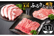 619-1 鹿児島黒豚ふるさとセット1.1kg Bセット（モモ・バラ・とんかつ用）　KN038-001-02