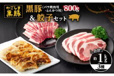 616-1 鹿児島黒豚800g（バラ焼肉用・とんかつ用）＋黒豚餃子　KN038-004