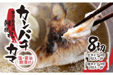 486-1 カンパチカマ塩・醤油麹漬け8切　KN037-001-01