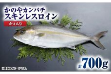 174-1 かのやカンパチロイン（カマ入）　KN001-001