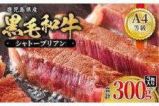 714-1 超希少！A4等級黒毛和牛シャトーブリアン300g　KN021-019-02
