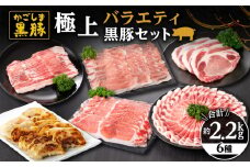 991-1 鹿児島黒豚バラエティセット（バラ・肩ロース・ロース・とんかつ用・黒豚餃子）　KN038-003