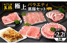 991-1 鹿児島黒豚バラエティセット（バラ・肩ロース・ロース・とんかつ用・黒豚餃子）　KN038-003