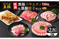 491-1 鹿児島黒豚バラエティセット1.6kg（肩ロース・バラ・モモ・とんかつ用）＋黒豚餃子　KN038-005