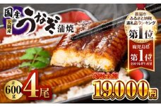 【期間限定】鹿児島県大隅産うなぎ蒲焼4尾（600g）　KN007-004-04