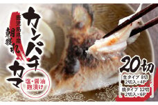 487-1 カンパチカマ塩・醤油麹（こうじ）漬け20切　KN037-001-02