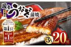 727-1 鹿児島県大隅産うなぎ蒲焼20尾（3kg）　KN007-020
