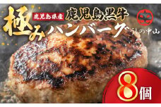 1104 鹿児島県産『鹿児島黒牛』極めたハンバーグ8個　KN050-001-03