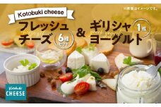 1128 フレッシュチーズ6種/ギリシャヨーグルトセット　KN087-002