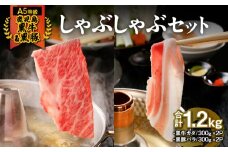 746-2 （A-2101）【5等級】鹿児島黒牛・鹿児島黒豚しゃぶしゃぶセット　KN009-002
