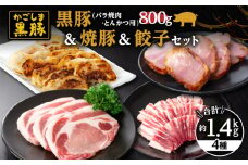 5616-1 鹿児島黒豚800g（バラ焼肉・とんかつ用）＋黒豚焼豚+黒豚餃子　KN038-012