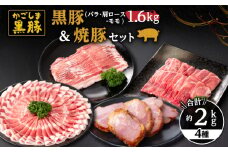 51025 鹿児島黒豚1.6kg（バラ・肩ロース・モモ）＋黒豚焼豚　KN038-008