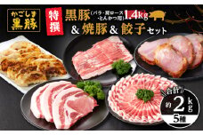 51026 特撰 鹿児島黒豚1.4kg（バラ・肩ロース・とんかつ用）＋黒豚焼豚＋黒豚餃子　KN038-013