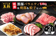 51027 特撰 鹿児島黒豚バラエティ1.4kg（モモ・バラ・とんかつ用）＋黒豚焼豚＋黒豚餃子　KN038-009