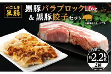 1222 鹿児島黒豚 バラブロック1.6kg＋黒豚餃子　KN038-011