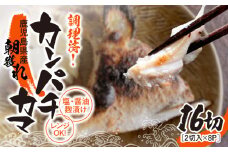 1277 調理済み！カンパチカマ塩・醤油麹（こうじ）漬け16切（焼タイプ）　KN037-002-02